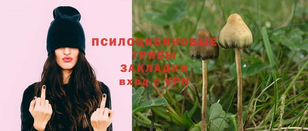МДПВ Медвежьегорск